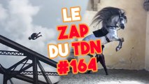 Il veut plonger d'un pont mais ça ne se passe pas comme prévu... - Le Zap du TDN #164