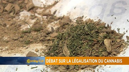 Débat sur la légalisation du cannabis en Afrique [The Morning Call]