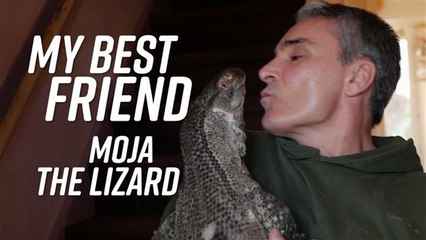 Cold Blooded and In Charge