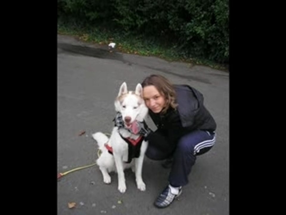Balto & moi en plein mushing
