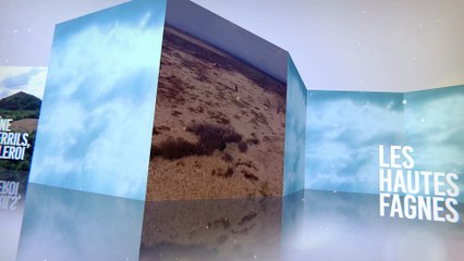 Sequence 08_Les Hautes Fagnes_FER_v2