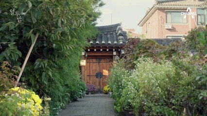 (매정)"아니요, 일 때문에" 자신의 일을 위해 해후에 온 한승연