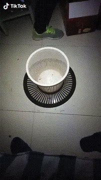 Voyage dans l'espace-temps d'une poubelle