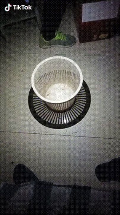 Voyage dans l'espace-temps d'une poubelle