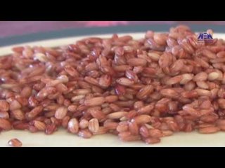 Eps 20 –El Alem Men Hawlna Program| الحلقة العشرون (  التغذية ) - برنامج العلم من حولنا