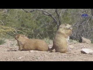 Eps 08 –El Alem Men Hawlna  Program| الحلقة الثامنة ( اساسيات البيئة ) - برنامج العلم من حولنا