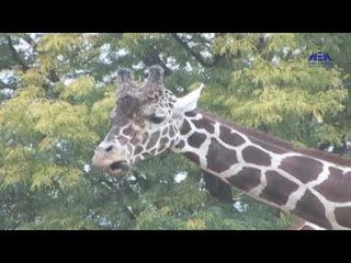 Eps 19 –El Alem Men Hawlna | الحلقة التاسعة  عشر (  احتياجات الكائنات الحية) - برنامج العلم من حولنا