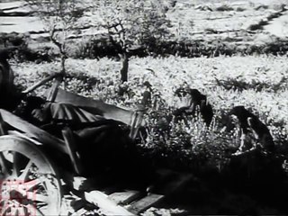 How Did World War 2 Change Europe -  Post-War Europe