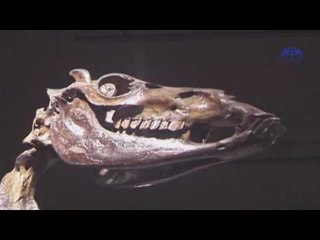 Eps 09 –El Alem Men Hawlna  Program| الحلقة التاسعة ( مشاكل البيئه وحلولها) - برنامج العلم من حولنا