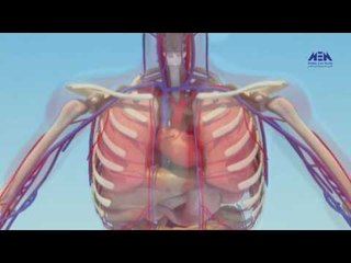 Eps 04 –El Alem Men Hawlna  Program| الحلقة الرابعة (الدم ودورته ) - برنامج العلم من حولنا