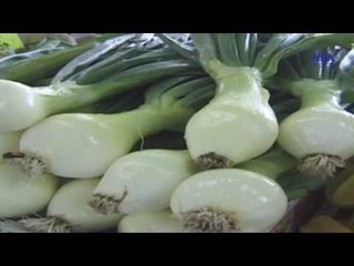 Eps 06 –El Alem Men Hawlna  Program| الحلقة السادسة ( تصنيف الحيوانات ) - برنامج العلم من حولنا