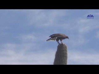 Eps 10 –El Alem Men Hawlna  | الحلقة العاشرة ( استكشافات الانظمه البيئة الصحراويه) -  العلم من حولنا