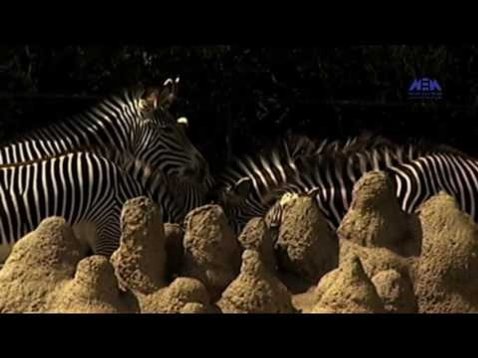 Episode 04 –Kaset Al Hayah Program | الحلقة الرابعة - برنامج قصة الحياة