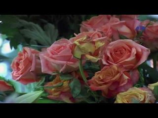 Episode 21–Nabtat EL Zieena Program | الحلقة الواحد والعشرون - برنامج نباتات الزينة