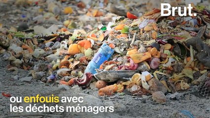 Voici trois façons de recycler vos biodéchets