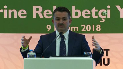 Pakdemirli: 'Toplulaştırmada, 8,2 milyon hektarda 3,2 milyon hektar alanın çalışmasını bitirmişiz' - ANKARA