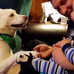 The cutest video you will see today!Follow Howlers for more!