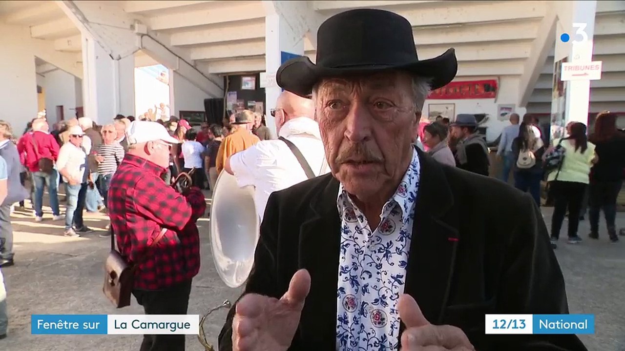 Le taureau de Camargue, roi des arènes