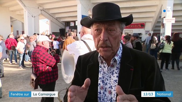 Le taureau de Camargue, roi des arènes