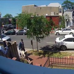 The old tail of dogs against mailmen, is really a thing! Follow Howlers for more!