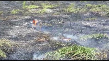 Incêndio ambiental é registrado perto da FAG