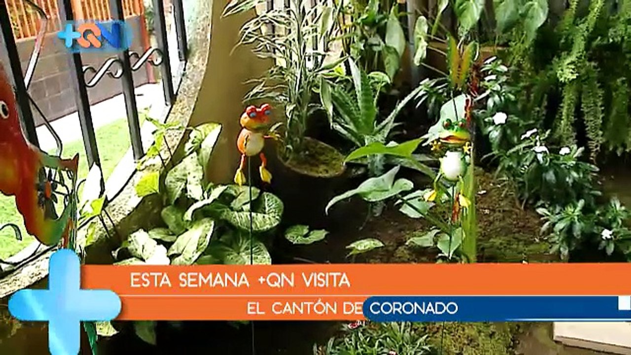 La macha de Coronado qn-La-macha-de-Coronado -1...