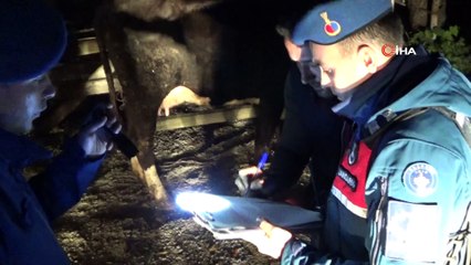 Çalınan hayvanlarına kavuşmanın sevincini yaşadılar