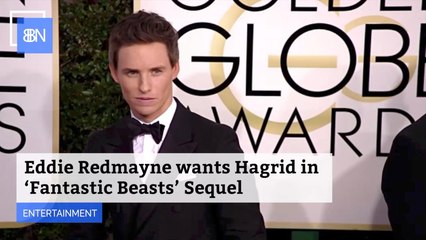 Eddie Redmayne Is Pushing For  Hagrid