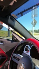 Mans Runs Into Traffic to Save Endangered Tortoise