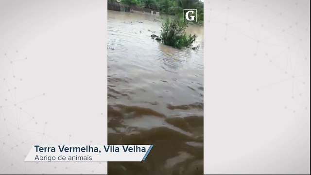 Abrigo de animais em Terra Vermelha, Vila Velha