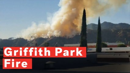 Fire Starts Near Griffith Park In Los Angeles, California