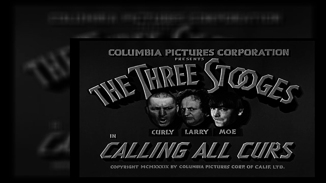 The Three Stooges S06E06 - Calling All Curs