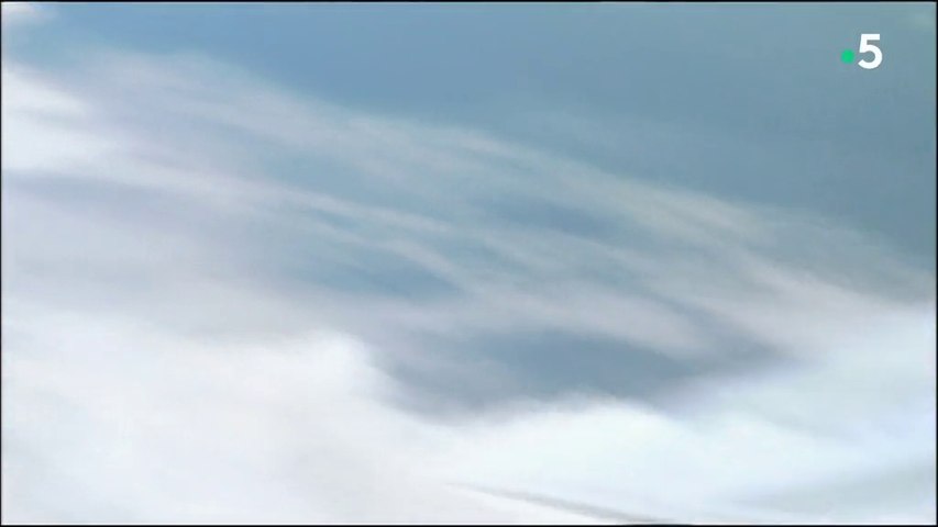 Dangers dans le ciel - Poussé à bout, vol Silk Air 185