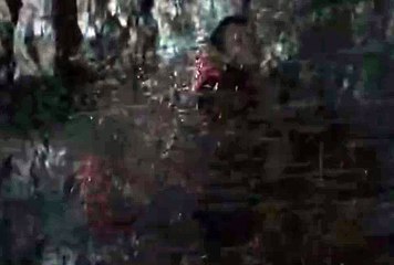릴게임야마토, 손오공릴게임 ☟☟ C S N 8 0 점 C 0 M ☟☟ 온라인릴게임추천