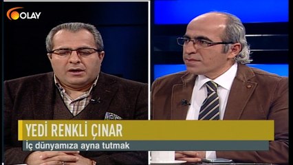 Yedi Renkli Çınar - 09-11-2018