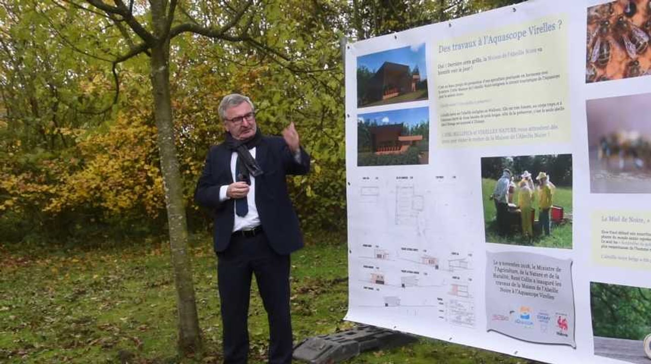Chimay: une maison de l'abeille noire construit...
