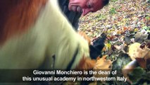 Italian academy trains dogs to find truffles