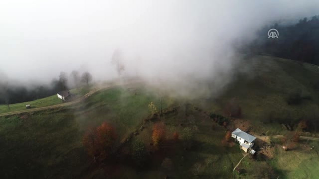 Yayla Kenti" Trabzon Görsel Şölen Sunuyor
