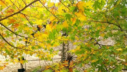Tohma Kanyonu sonbaharda başka güzel - MALATYA