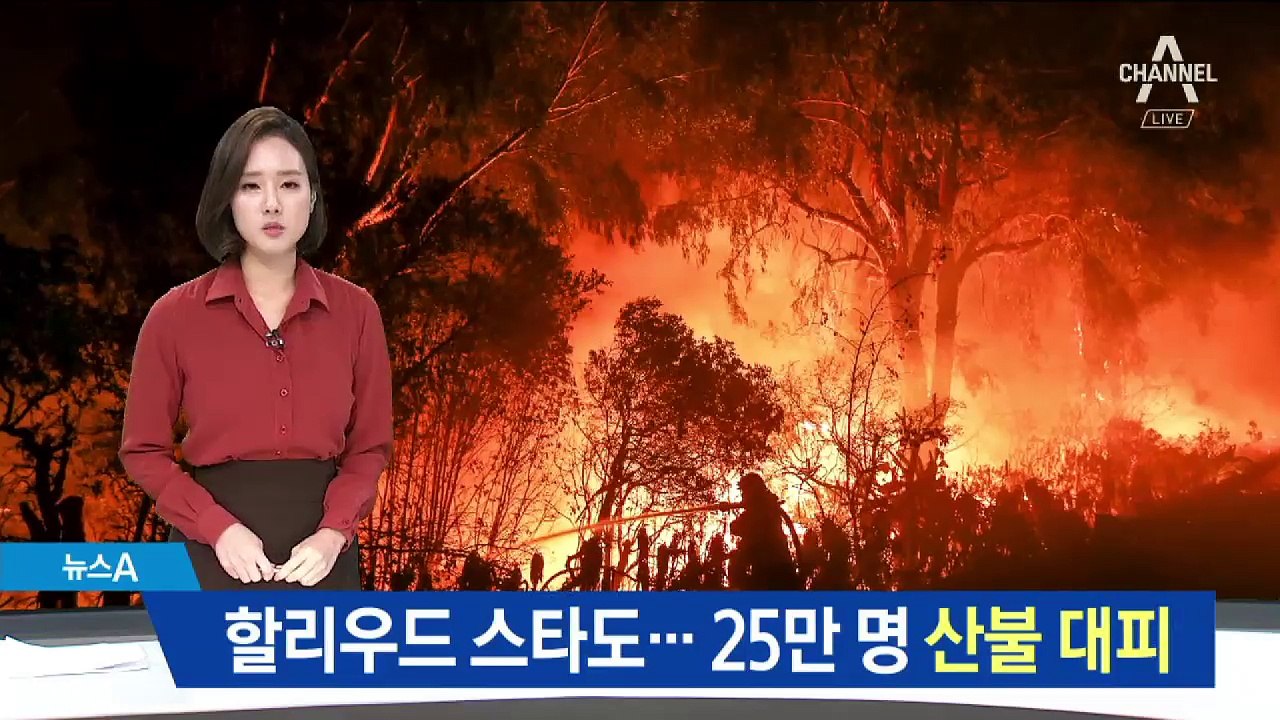 할리우드 스타도…캘리포니아 25만 명 산불 대피