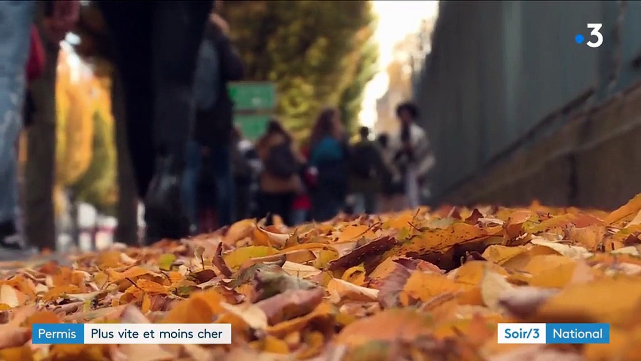 Un permis de conduire plus rapide à obtenir et moins cher ?