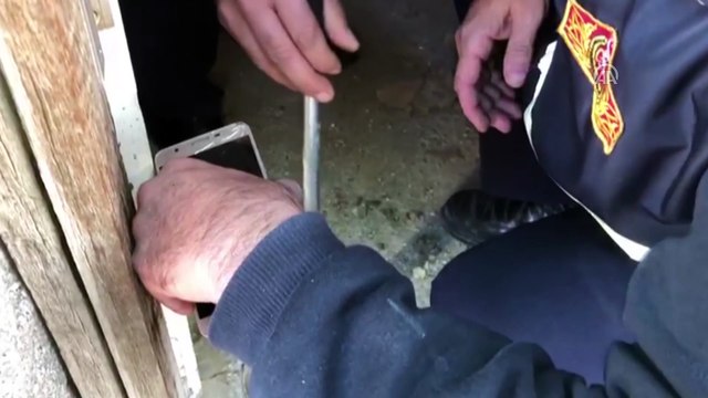 Yavru kedinin imdadına itfaiye yetişti - KARAMAN