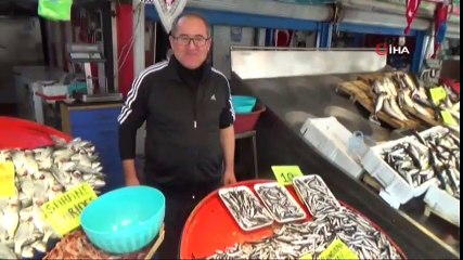 Palamut Tahtını Hamsiye Devrediyor