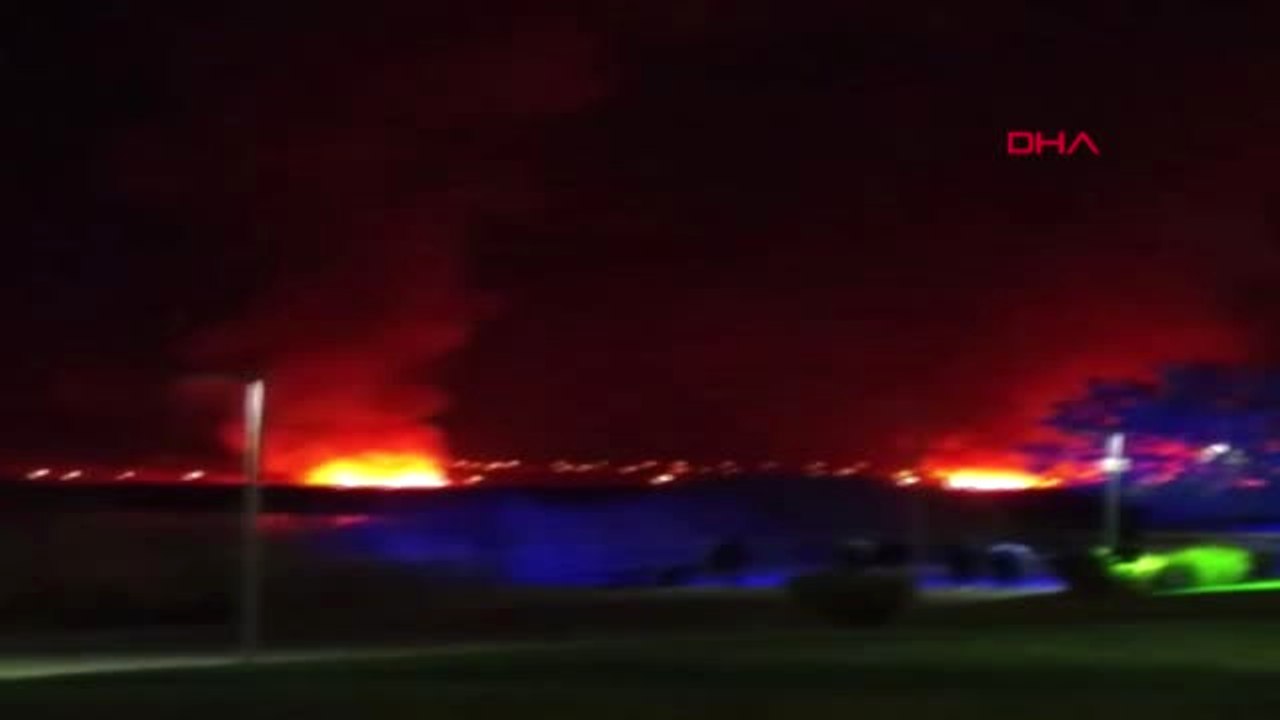 Ankara'da Mogan Gölü Kıyısında Sazlık Yangını