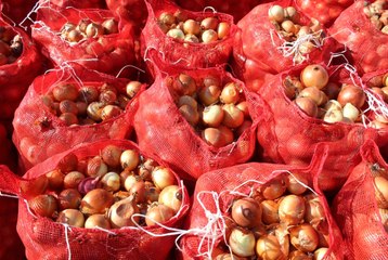 Soğan Fiyatı Tavan Yaptı