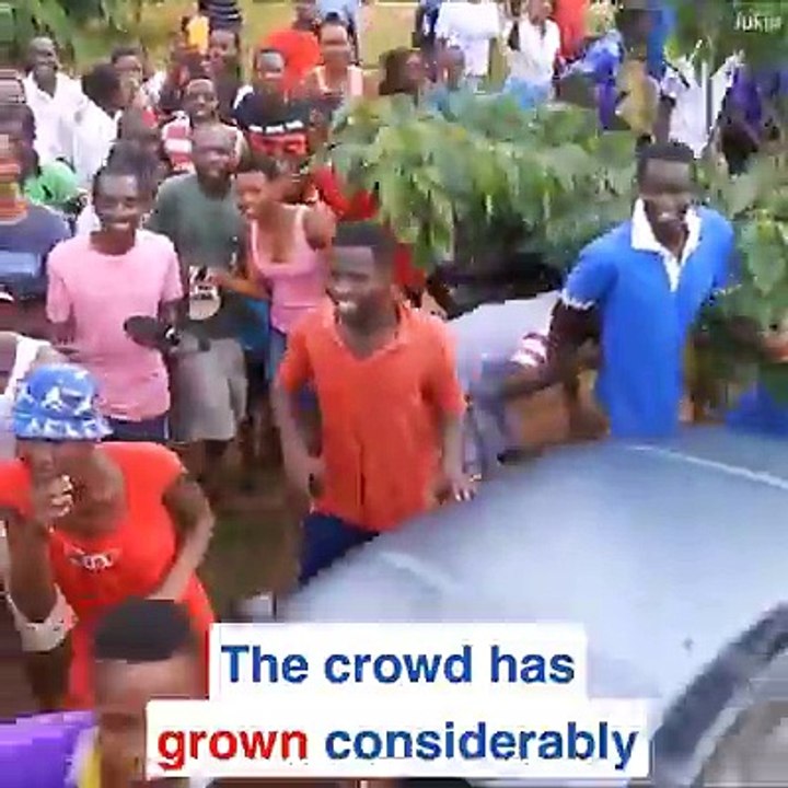 These rescuers didn't let anything stop them from saving a lion!