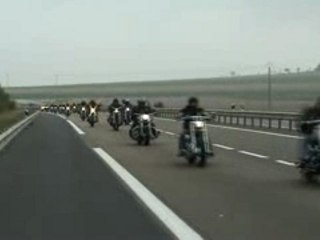 MEDIEVAL TROOPERS KLAN