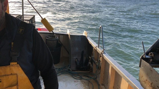 Le quotidien de Mathieu, pêcheur de crevettes roses en Vendée