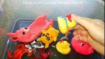 Learn Colors With Wild Zoo Animals Water Shark Toys For Kids