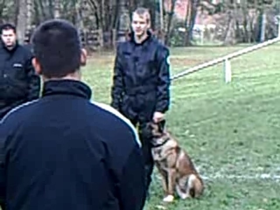 CLIP0015